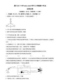 福建省厦门市双十中学2024-2025学年高二上学期期中生物试卷（原卷版）-A4