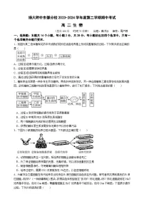 江苏省扬州市扬州大学附属中学东部分校2023-2024学年高二下学期期中考试生物试卷