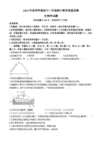 广西金太阳联考2024-2025学年高二上学期期中教学质量检测生物试题