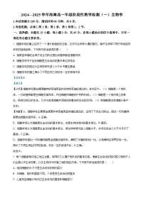 海南省2024-2025学年高一上学期11月期中考试生物试卷（Word版附解析）