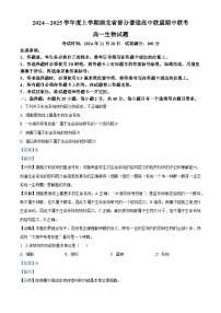 湖北省部分普通高中联盟2024-2025学年高一上学期11月期中联考生物试卷（Word版附解析）