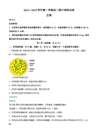 江苏省苏州市2024-2025学年高三上学期11月期中考试生物试卷（Word版附解析）