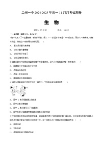 甘肃省兰州市城关区甘肃省兰州第一中学2024-2025学年高一上学期11月月考生物试题