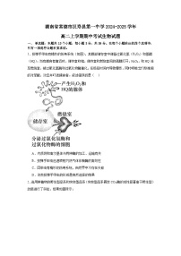 湖南省常德市汉寿县汉寿县第一中学2024-2025学年高二上学期11月期中生物试题