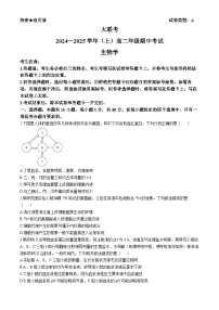 河南省部分学校大联考2024-2025学年高二上学期11月期中考试生物试卷（Word版附答案）