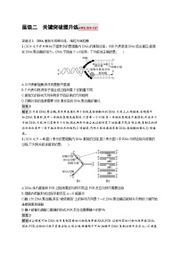 备战2025年高考二轮复习生物（湖南版）大单元5 遗传的分子基础、变异与进化 层级二关键突破提升练（Word版附解析）