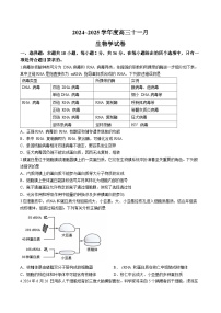 湖北省武汉市江岸区2024-2025学年高三上学期11月调考生物试卷 含答案