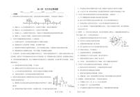 山东省潍坊市安丘市潍坊国开中学2024-2025学年高二上学期11月月考生物试题