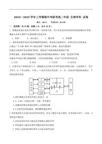 福建省泉州市四校2024～2025学年高二(上)期中联考生物试卷(含答案)