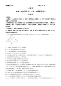 河南省部分学校大联考2024～2025学年高二(上)期中生物试卷(含答案)