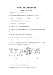 湖北省黄冈市黄梅县育才高级中学2024～2025学年高一(上)期中生物试卷(含答案)