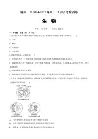 甘肃省陇南市武都区陇南市第一中学2024～2025学年高一(上)11月月考生物试卷(含答案)