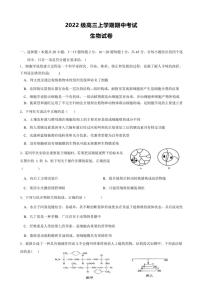 四川省眉山市仁寿县四川省仁寿第一中学校南校区2024～2025学年高三(上)期中生物试卷(含答案)