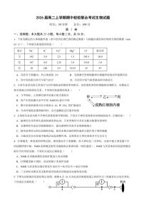 四川省眉山市东坡区2024～2025学年高二(上)期中生物试卷(含答案)