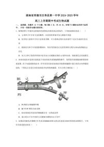 湖南省常德市汉寿县汉寿县第一中学2024～2025学年高三(上)期中生物试卷(含答案)