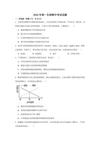 湖南省岳阳市岳阳县第一中学2024～2025学年高一(上)期中生物试卷(含答案)