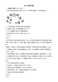 四川省成都市列五中学2024-2025学年高二上学期11月期中生物试题（解析版）-A4