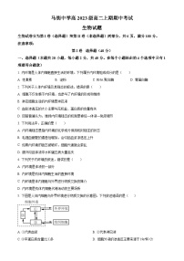 四川省合江县马街中学2024-2025学年高二上学期期中考试生物试题（原卷版）-A4