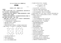 山东省东营市多校2024-2025学年高一上学期11月期中考试生物试题