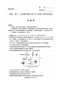 湖南省炎德英才名校联考联合体2024-2025学年高三上学期11月期中生物试题