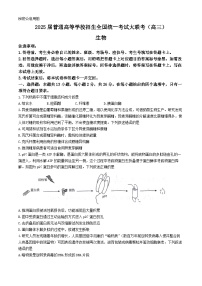 河北省邢台市名校大联考2024-2025学年高三上学期11月月考生物试题