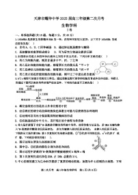 天津市耀华中学2024-2025学年高三上学期第二次月考生物试卷