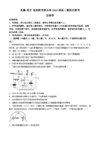 湖南省炎德英才名校联考联合体2024-2025学年高三上学期11月期中生物试题