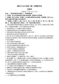 广西柳州市2024-2025学年高三上学期11月第一次模拟考生物试题