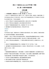 2025泰安一中高三上学期11月月考生物试题含解析