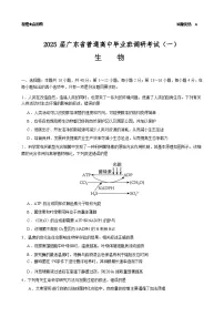 【广东卷】广东省2025届高中毕业班调研考试（高研一调模拟卷）（广东高考研究会）生物试卷