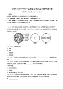 高一生物第三次月考卷（上海专用）2024-2025学年初中上学期第三次月考.zip