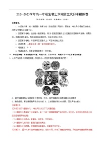 高一生物第三次月考卷（江苏专用，人教版2019必修1第1~5章）2024-2025学年初中上学期第三次月考.zip