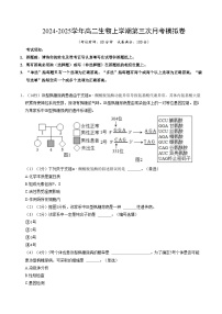 高二生物第三次月考卷（上海专用）2024-2025学年初中上学期第三次月考.zip