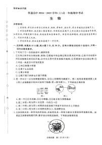 2025河南省青桐鸣高一上学期11月期中考试生物PDF版含解析