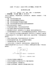 2025玉溪一中高二上学期第二次月考生物试题含答案