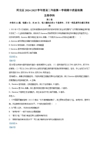 天津市河北区2024-2025学年高三上学期11月期中考试生物试卷（Word版附解析）