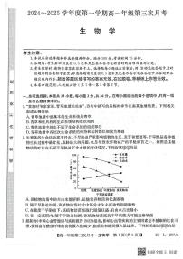 河北省沧州市四县联考2024-2025学年高一上学期11月月考生物试题