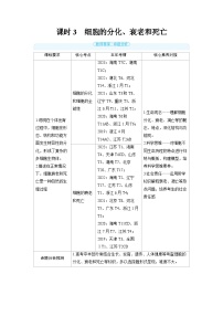 备战2025年高考生物精品教案第四章细胞的生命历程课时3细胞的分化、衰老和死亡（Word版附解析）