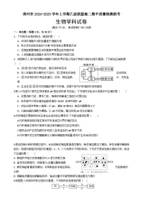 福建省漳州市乙级校联盟2024-2025学年高二上学期期中考试生物试题-A4
