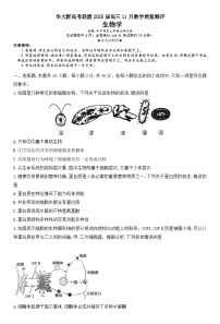 河南省华大联考2024-2025学年高三上学期11月期中生物试题