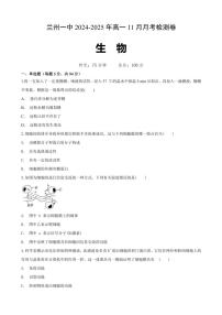 甘肃省兰州市城关区甘肃省兰州第一中学2024～2025学年高一(上)11月月考生物试卷(含答案)