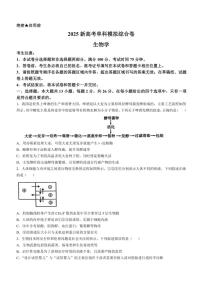 河北省邯郸市部分校2024～2025学年高三(上)期中生物模拟试卷(含答案)