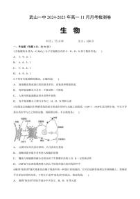 甘肃省天水市武山县第一高级中学2024～2025学年高一(上)11月月考生物试卷(含答案)