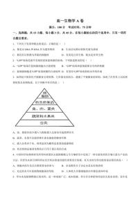 安徽省鼎尖教育2024～2025学年高一(上)期中生物(A)试卷(含答案)