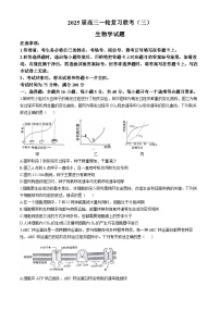 四川省百师联盟2024-2025学年高三上学期11月期中生物试题