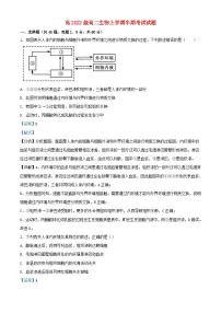 四川省成都市2023_2024学年高二生物上学期期中试题含解析