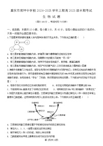 重庆市南坪中学2024-2025学年高二上学期期中生物试题