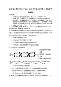 江西省上饶市广信二中2024-2025学年高三上学期11月生物学检测题