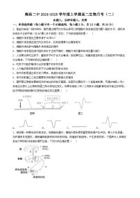 江西省南昌市东湖区南昌市第二中学2024-2025学年高二上学期11月月考生物试题