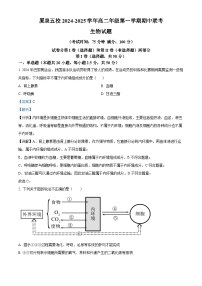 福建省厦泉五校2024-2025学年高二上学期11月期中联考生物试题（解析版）